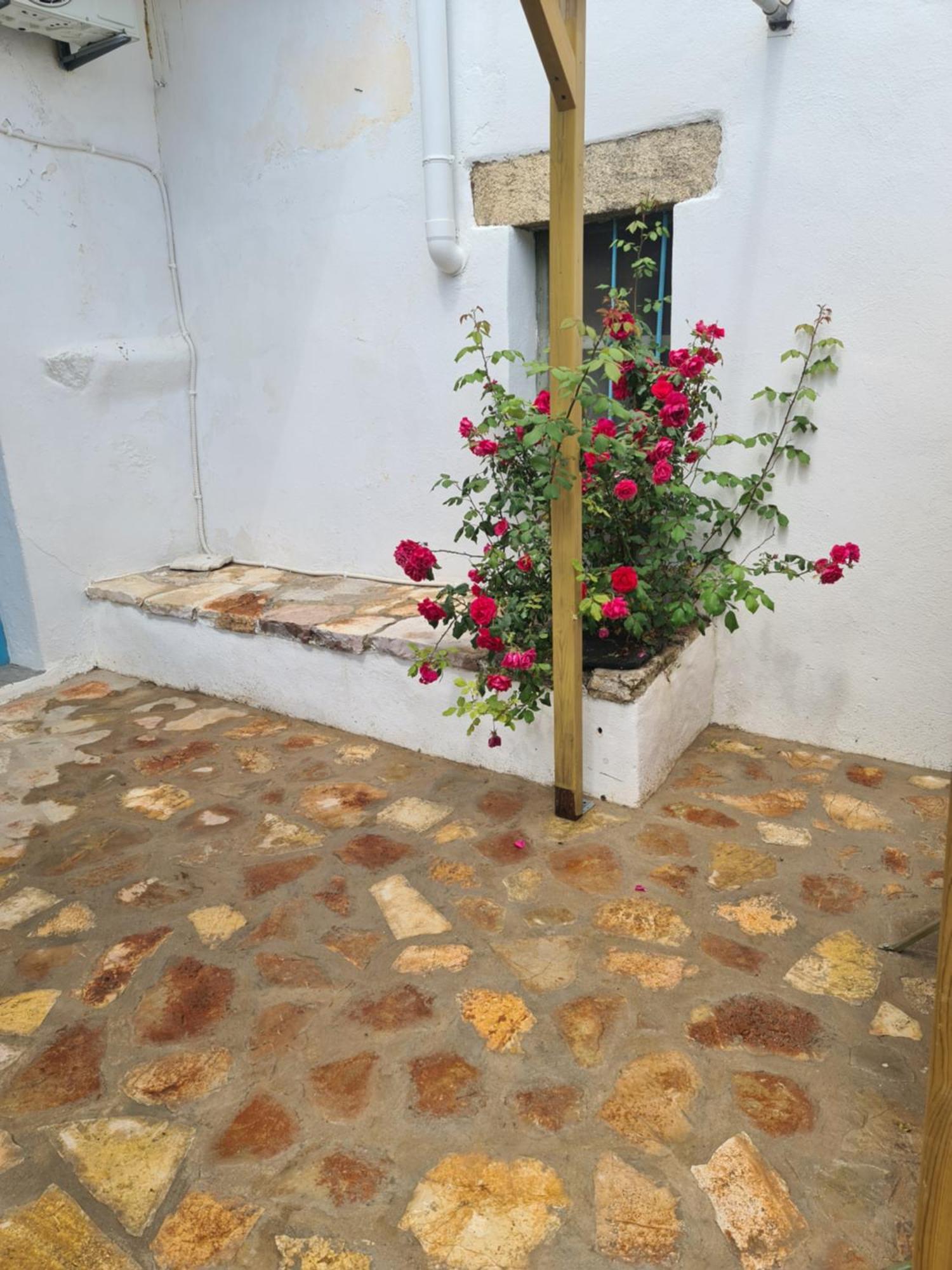 Kamaraki Grande Aroniadika Apartment Kythira Town Luaran gambar